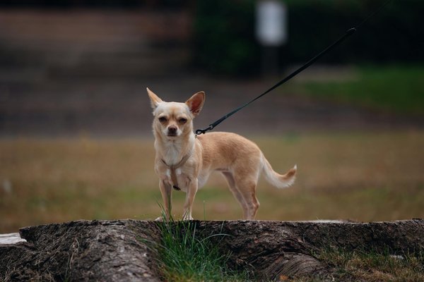 How Digital Connectivity is Reshaping Real Estate Values in the UK's Remote Areas;156Transforming Suburbs: The Impact of Remote Work on Future Real Estate Markets;156Unlocking Blockchain's Potential: Transforming Real Estate Deals with Unmatched Ef